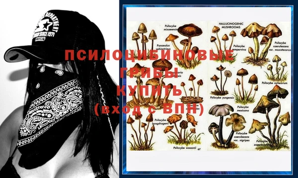 амф Абинск