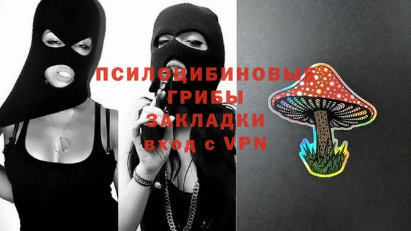 амф Абаза